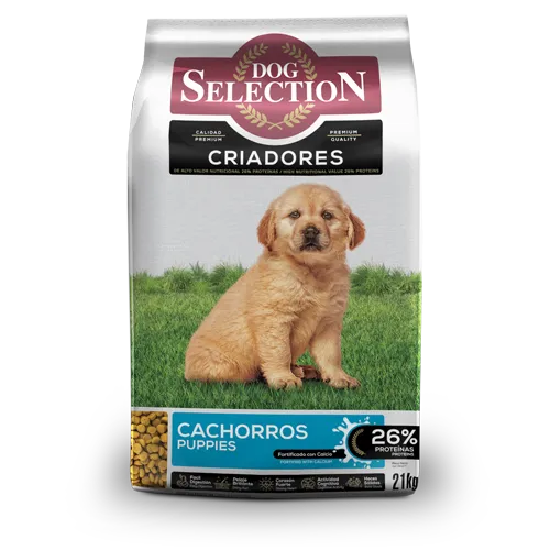 Dog Selection Cachorro 